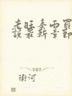 老旺秦雨罗明小说最新章节更新内容