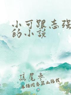 小可跟志强阿梅的小说