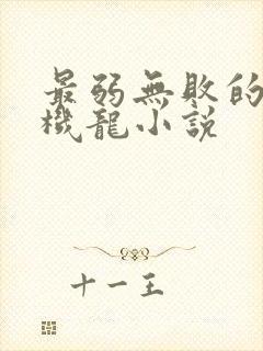 最弱无败的神装机龙小说