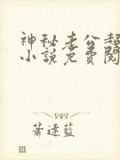 神秘老公超级甜小说免费阅读全文