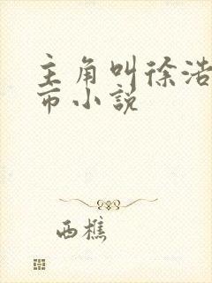 主角叫徐浩的都市小说