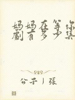 妈妈在等你电视剧有多少集