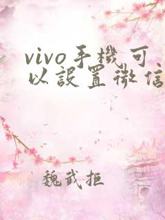 vivo手机可以设置微信视频美颜吗