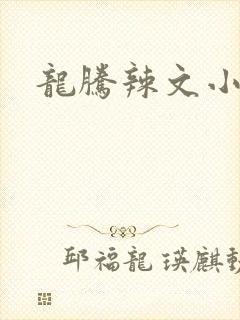 龙腾辣文小说网