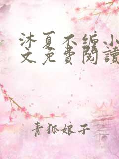 沐夏不缠小说全文免费阅读