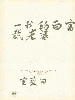 一我的白富美总裁老婆