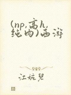 (np,高h,纯肉)西游