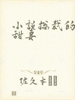 小说总裁的独宠甜妻