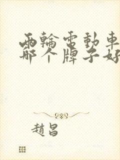 两轮电动车电机哪个牌子好