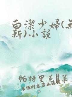 白洁少妇(无删新)小说