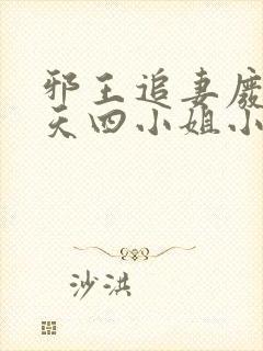 邪王追妻废材逆天四小姐小说下载