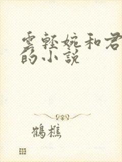 云轻婉和君玄烨的小说