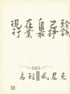 现在自己干什么行业最挣钱