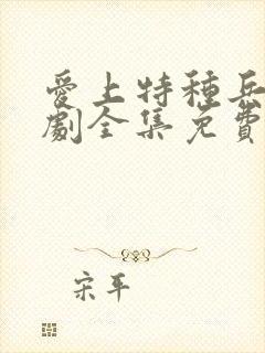 爱上特种兵电视剧全集免费观看