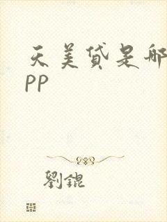 天美贷是哪个app