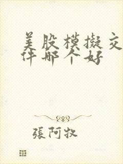 美股模拟交易软件哪个好