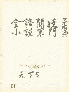 金锋关晓柔穿越小说寒门枭士