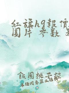 红旗h9报价及图片 参数 新款