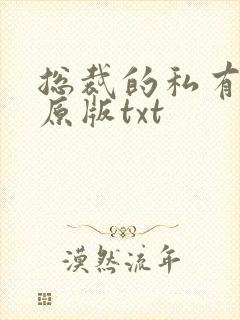 总裁的私有宝贝原版txt