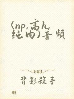 (np,高h,纯肉)音频