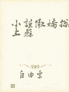 小说傲娇总裁宠上瘾