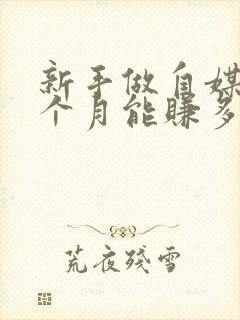 新手做自媒体一个月能赚多少钱