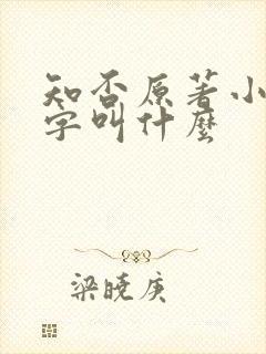 知否原著小说名字叫什么