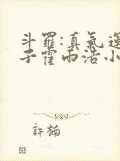 斗罗:真气运之子霍雨浩小说