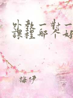 外教一对一口语课程哪个好