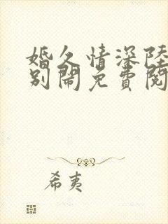 婚久情深陆先生别闹免费阅读