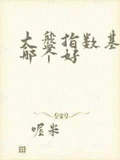 大盘指数基金买哪个好