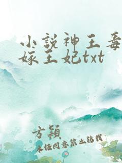 小说神王毒宠二嫁王妃txt