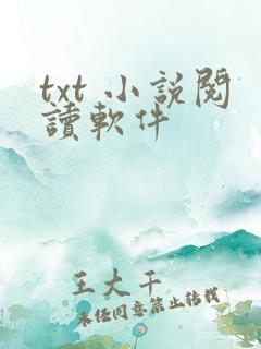 txt 小说阅读软件