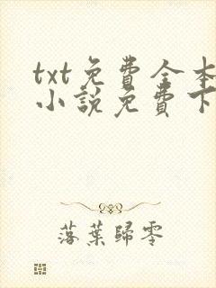 txt免费全本小说免费下载