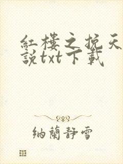红楼之挽天倾小说txt下载