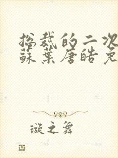 总裁的二次初恋苏叶唐皓免费阅读