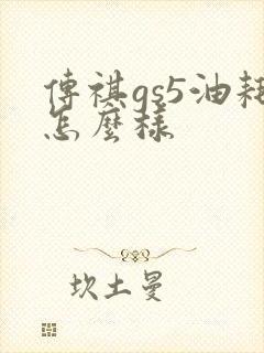 传祺gs5油耗怎么样