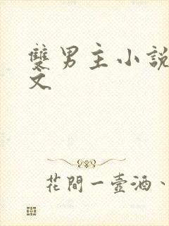 双男主小说同人文