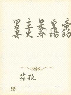 男主是皇帝的追妻火葬场的小说