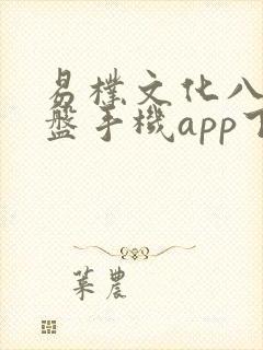 易朴文化八字排盘手机app下载