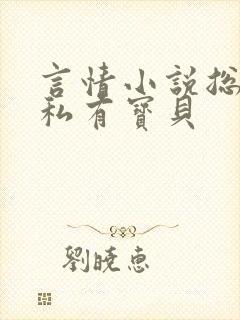 言情小说总裁的私有宝贝