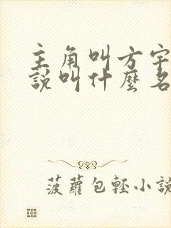 主角叫方宇的小说叫什么名字