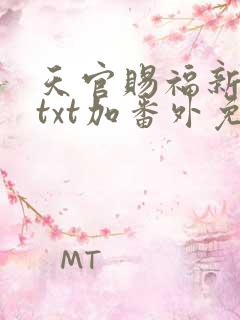 天官赐福新修版txt加番外免费阅读