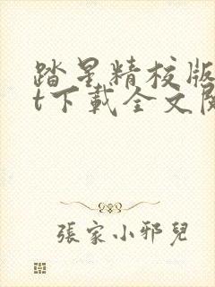 踏星精校版txt下载全文阅读