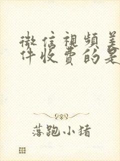 微信视频美颜软件收费的是真的吗