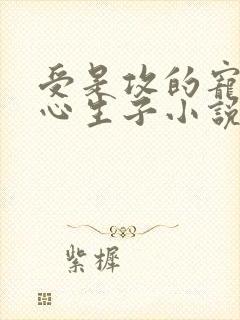 受是攻的宠妃虐心生子小说