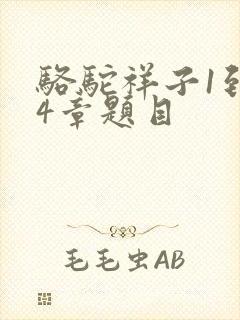 骆驼祥子1到24章题目