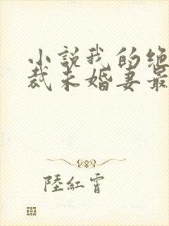 小说我的绝色总裁未婚妻最新章节