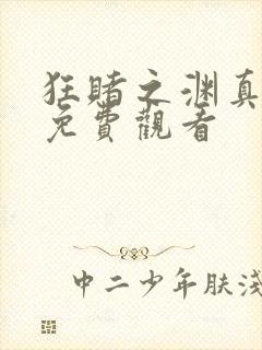 狂赌之渊真人版免费观看