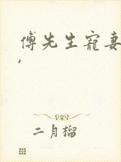 傅先生宠妻无度,